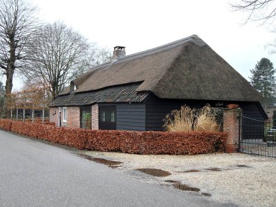 24_boxtel.jpg