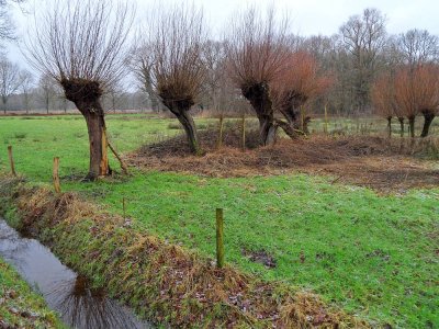 32_boxtel.jpg