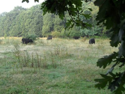 051_limburg2015.jpg