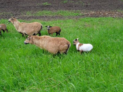 09_boven-leeuwen.jpg