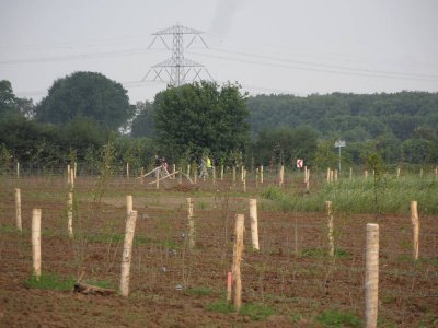 17_km-cuijk.jpg