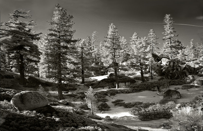 Sand Dune in Afternoon
