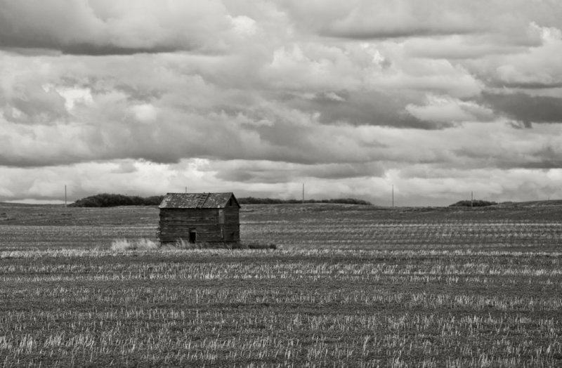 Saskatchewan-8622 BW.jpg