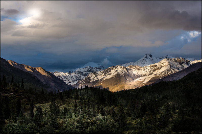 Light and Shadows - Denali Hwy