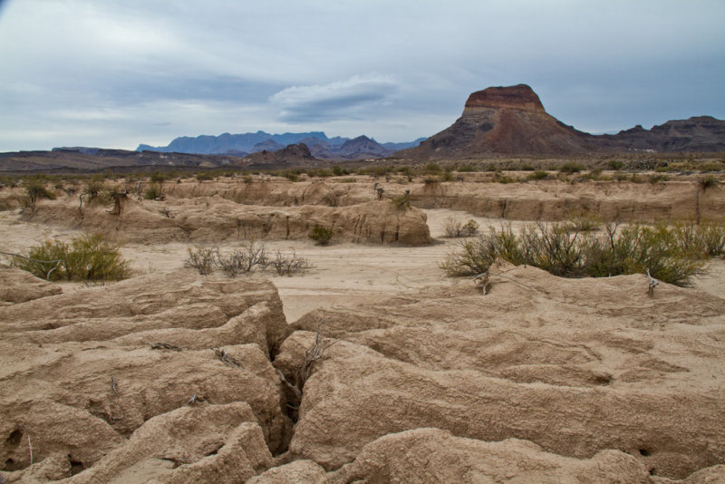 Big Bend NP 8998