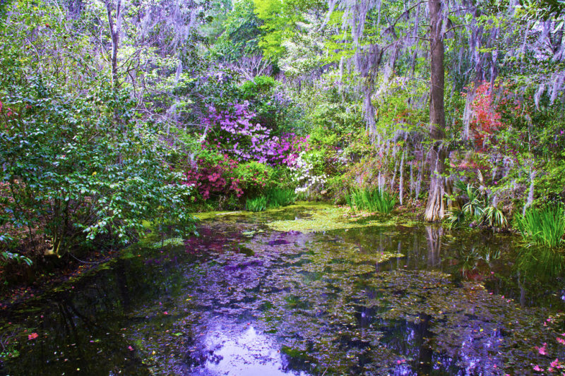 Magnolia Plantation 0752