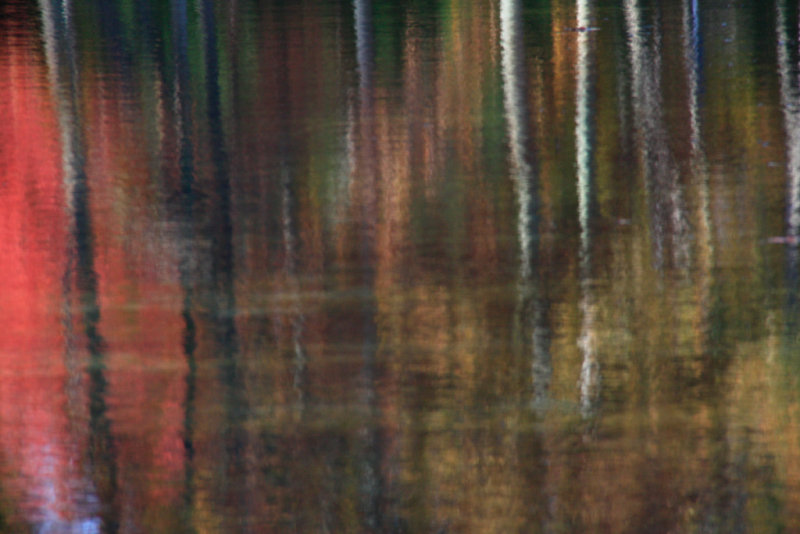 Fall Reflections 3715.jpg
