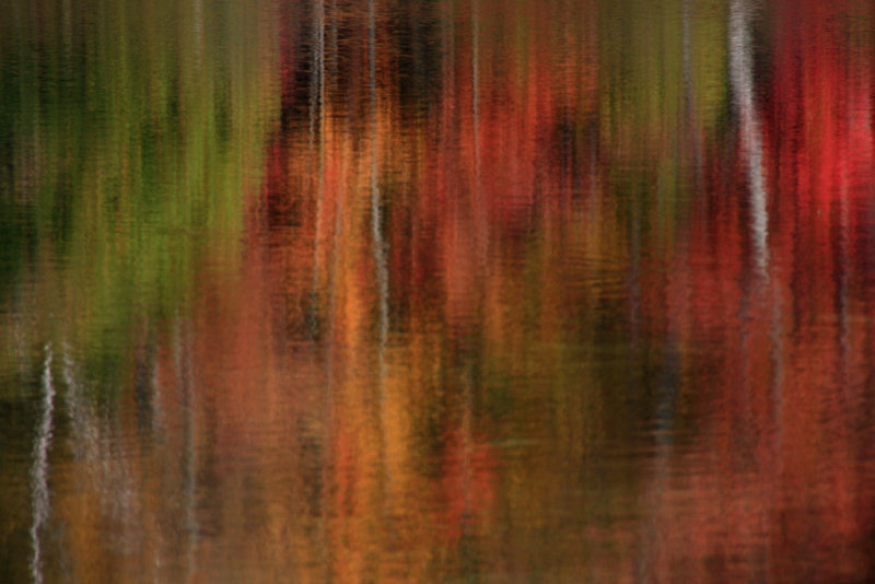 Fall Reflections 3730