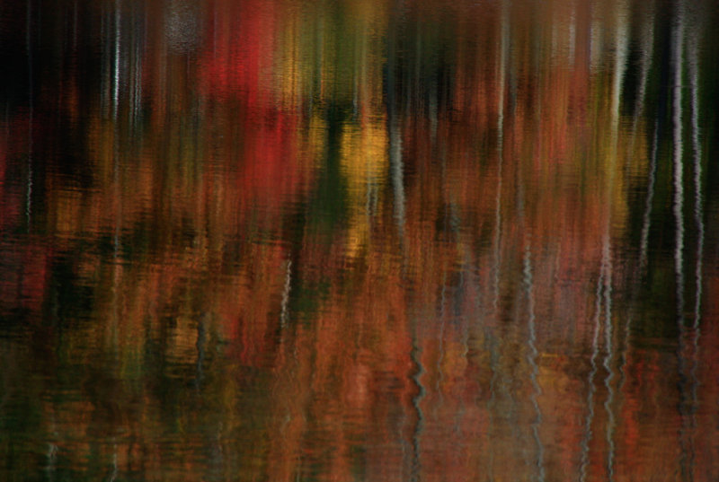Fall Reflections 3735.jpg