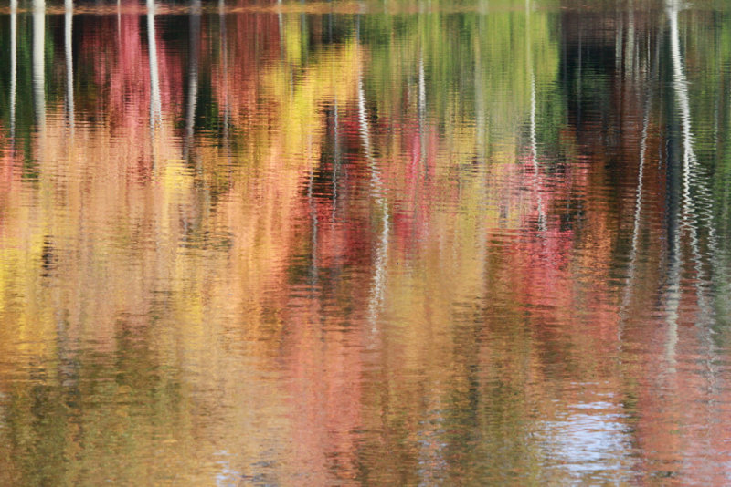 Fall Reflections 9528.jpg