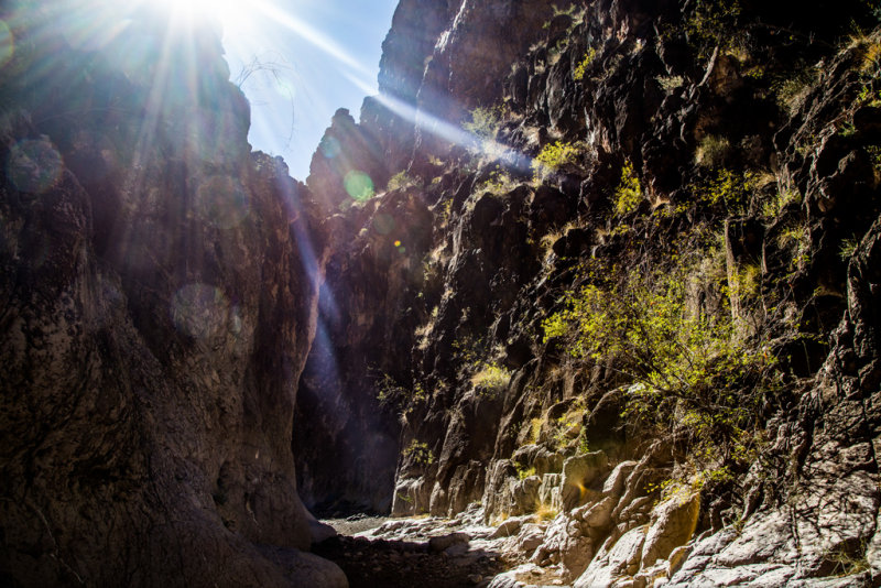 Big Bend State Park - Closed Canyon-3