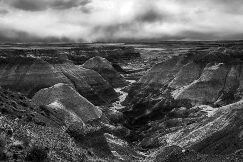 8142 bw.jpg
