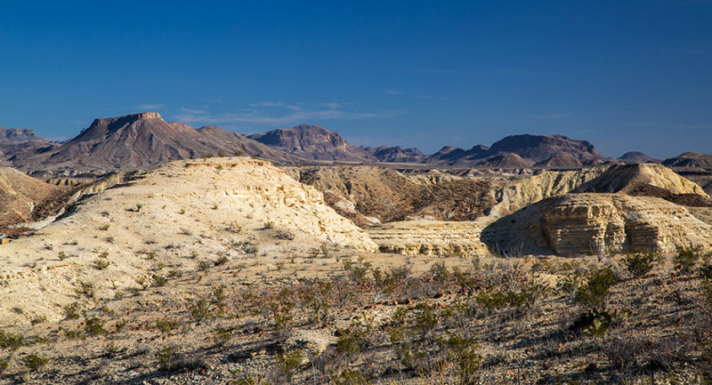 _MG_3695.jpg