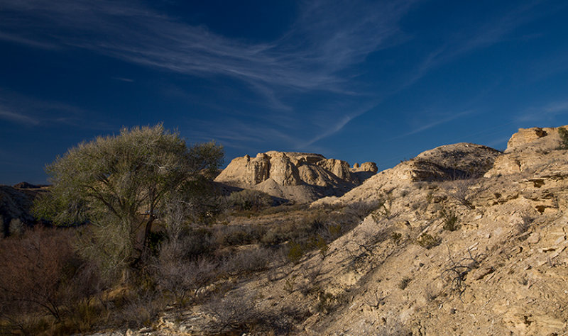 _MG_3764.jpg