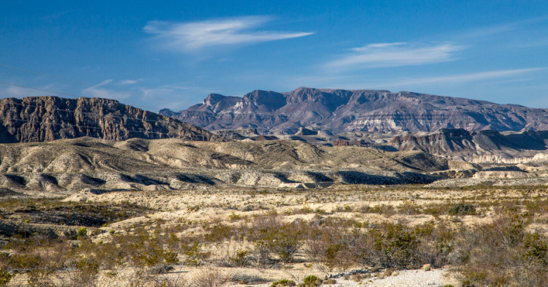 _MG_3361.jpg