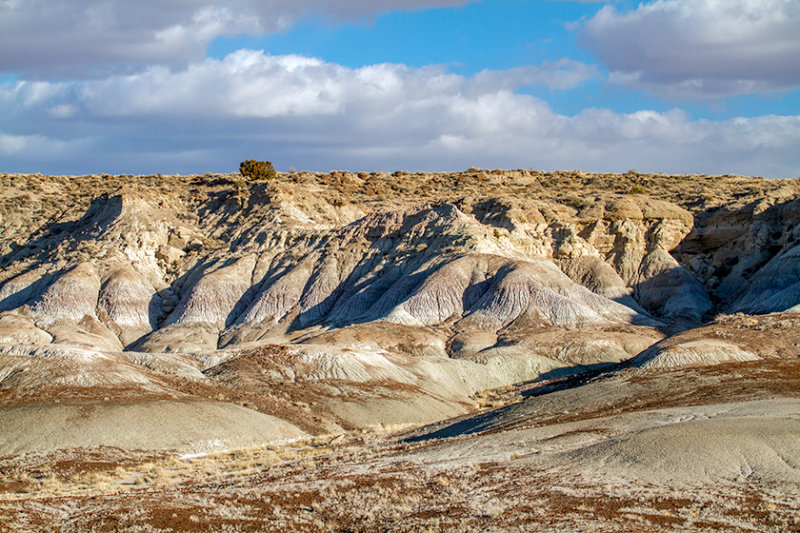 _MG_7360.jpg