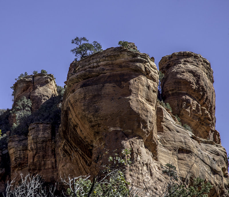 _MG_5441.jpg
