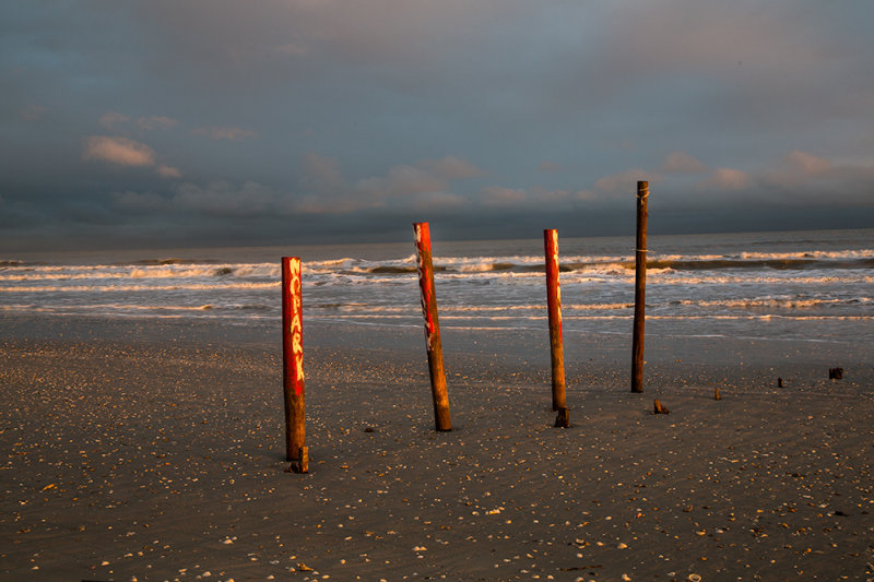 Late afternoon light