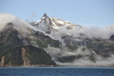 Kenai Fjords-6.jpg