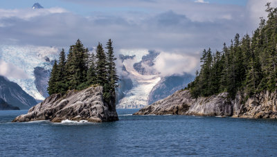 Kenai Fjord NP 4973