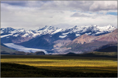 Morning Light - Denali Hwy