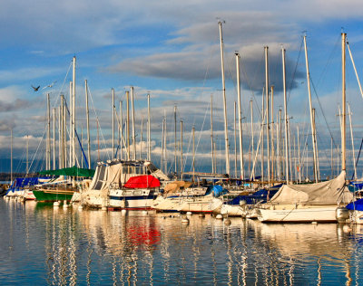 Marina in Geneva, Switzerland