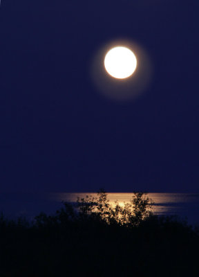 Full Moon IMG_1813