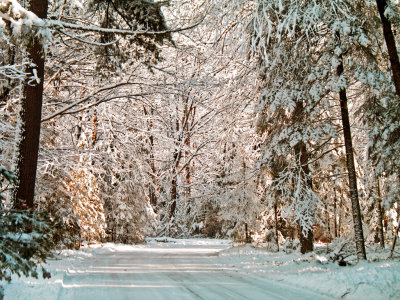 Winter Afternoon in Wisconsin.jpg