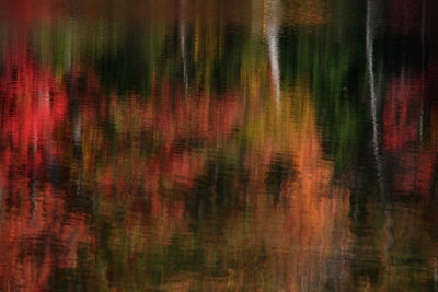 Gallery - Fall Reflections