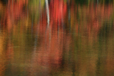 Fall Reflections 3716.jpg
