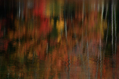 Fall Reflections 3735.jpg