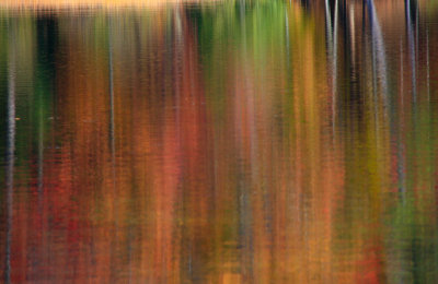 Fall Reflections 3791.jpg
