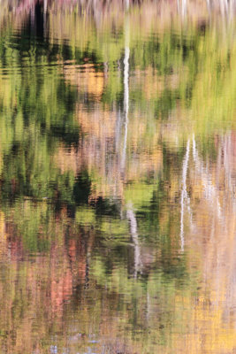 Fall Reflections 9513.jpg