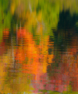 Fall Reflections 9518.jpg