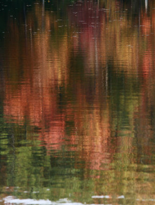 Fall Reflections 9632.jpg
