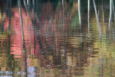 Fall Reflections 9630.jpg