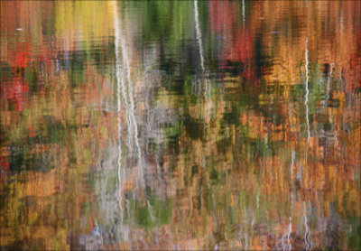 Fall Reflections-2.jpg