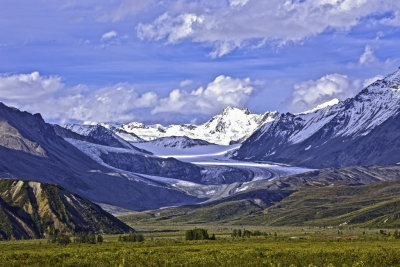 Denaly Hwy Glacier-1.jpg