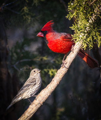 Interspecie Exchange_0245.jpg