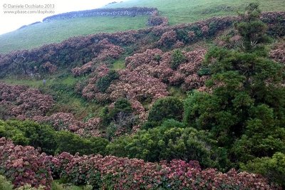 Lighthouse Valley, Corvo - Azores, Portugal