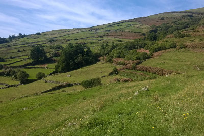 Above Ribeira da Vinte, Corvo - Azores, Portugal