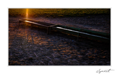DSCF9008.jpg