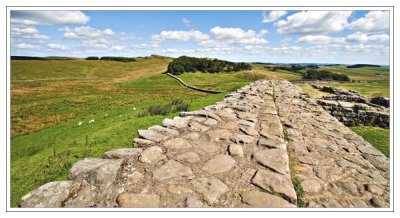 Looking east along the  wall at Housesteads.4