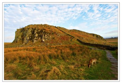  Steel Rigg 21
