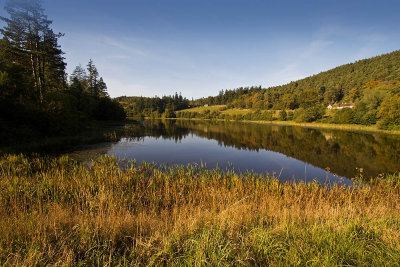 Cragside_ Lake 0049