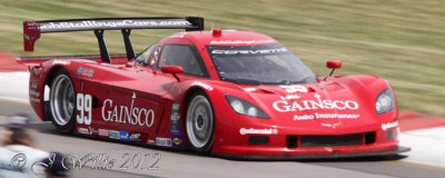 Gainsco/Bob Stallings Racing Corvette DP