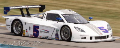 Action Express Corvette DP