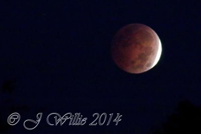 October 8, 2014 Hunter's Moon Lunar Eclipse