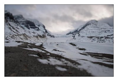 Tilt Shift (Columbia Icefields, Jasper National Park)