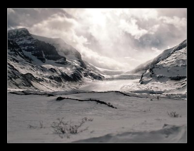 Columbia Icefields, Jasper National Park